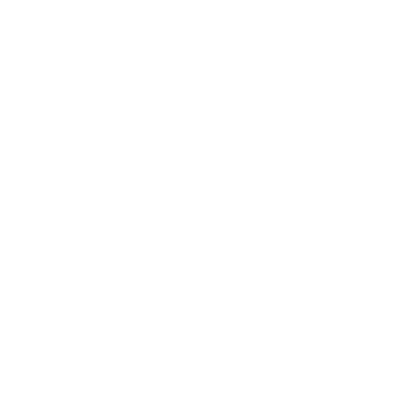 strategic_initiatives